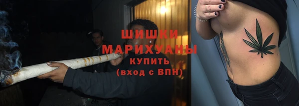 дмт Вяземский