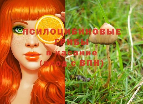 трава Вязники